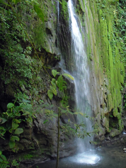 Waterfall in Matapalo - Peninsula de Osa - Costa Rica